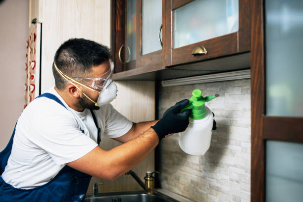 Best Residential Pest Control  in Lealman, FL