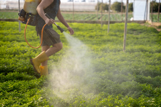 Best Wildlife Control Services  in Lealman, FL