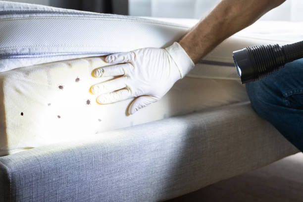 Pest Control Cost in Lealman, FL